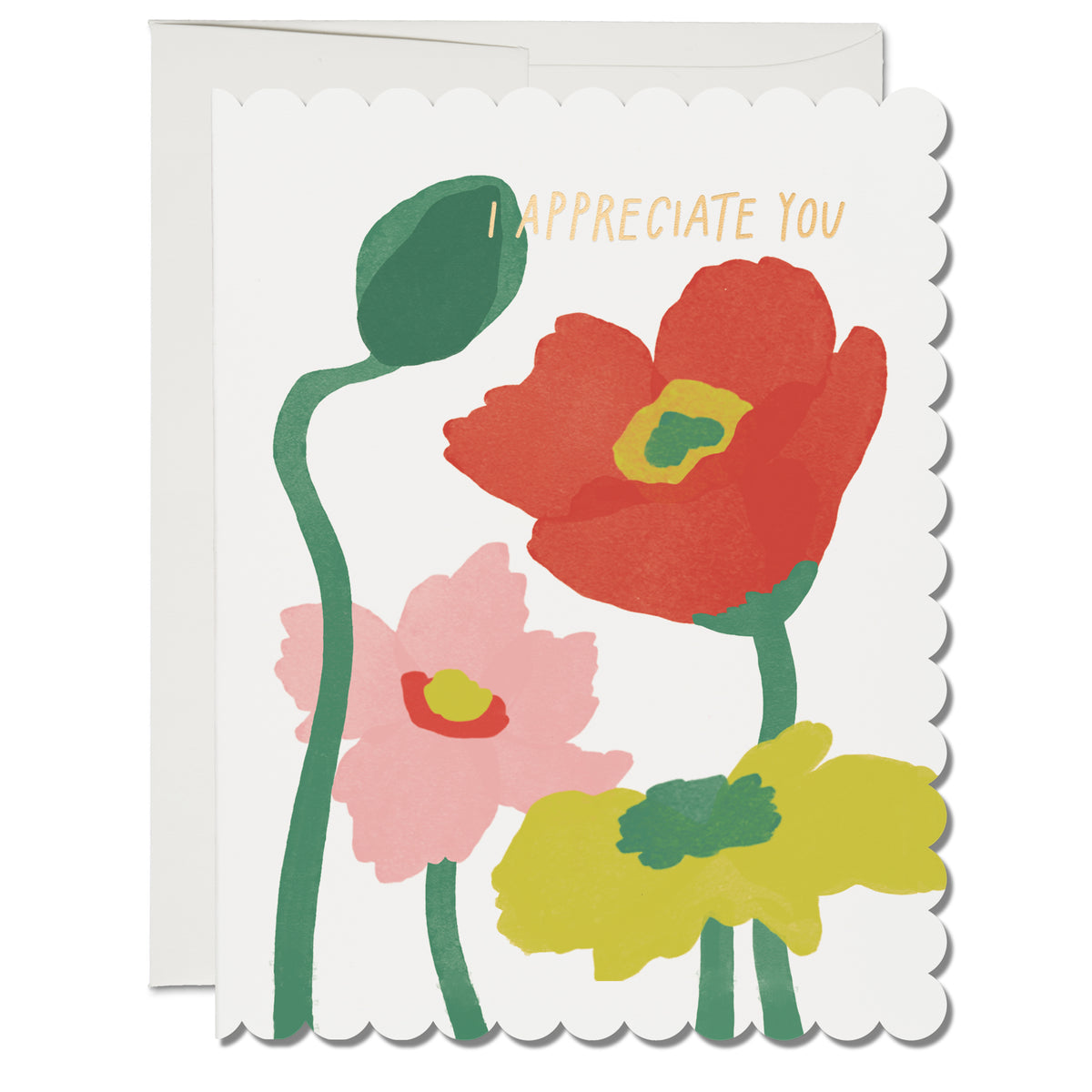 Scalloped Poppy Lars x Red Cap Card