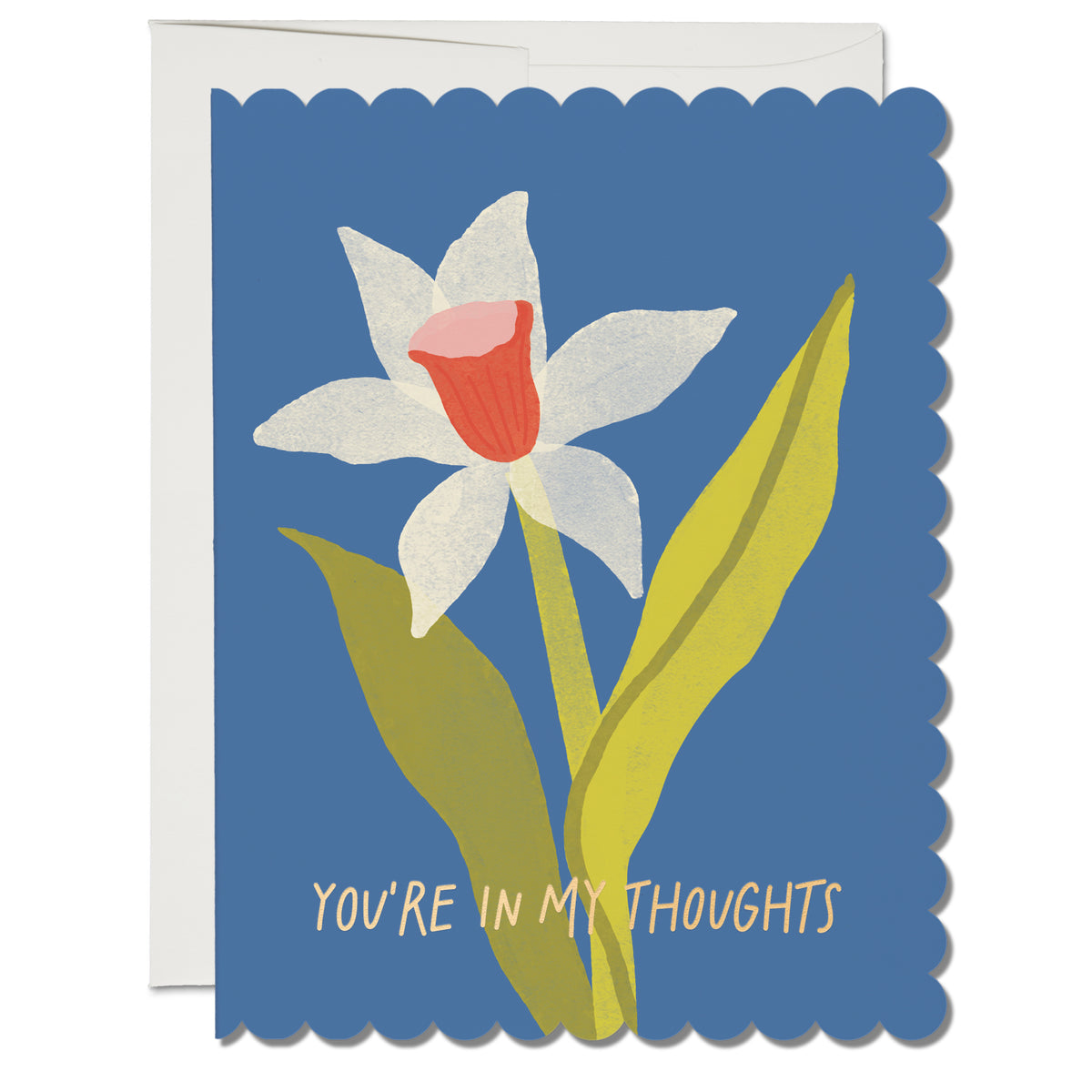 Scalloped Daffodil Lars x Red Cap Card