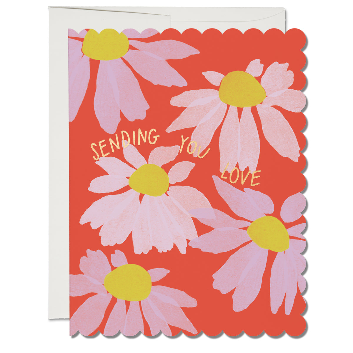 Scalloped Coneflower Lars x Red Cap Card