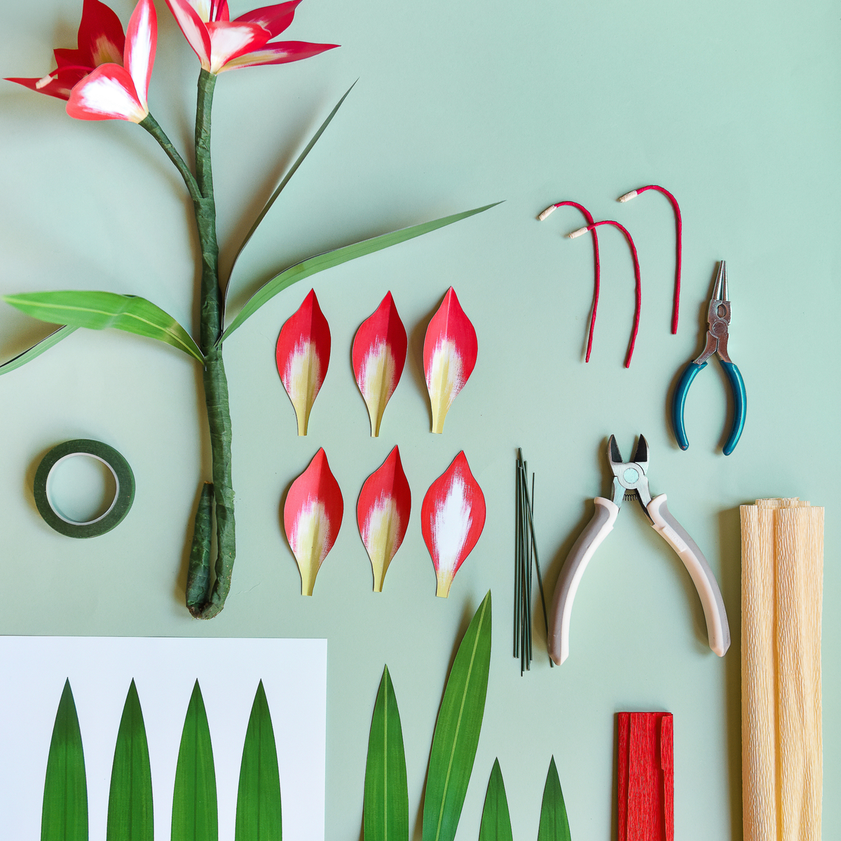 Paper Amaryllis, PDF Printable