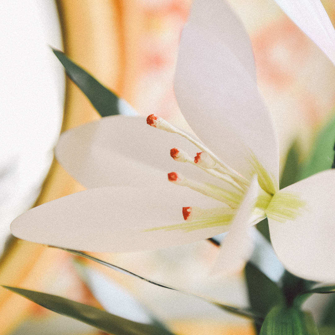 paper white lily Potted Paper Easter Lily, PDF Printable