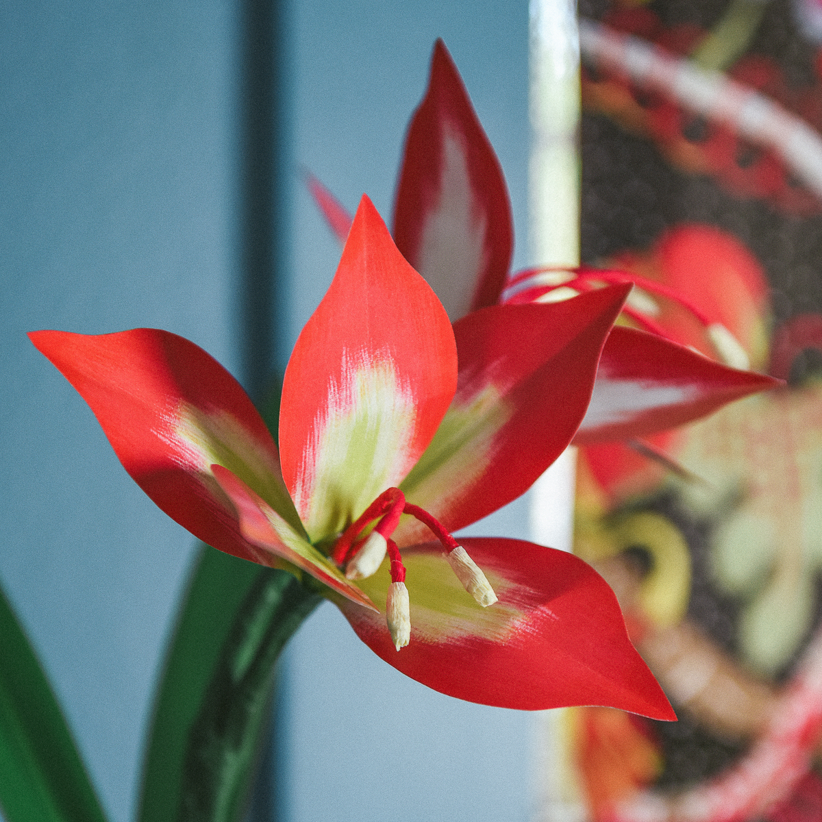 Paper Amaryllis, PDF Printable