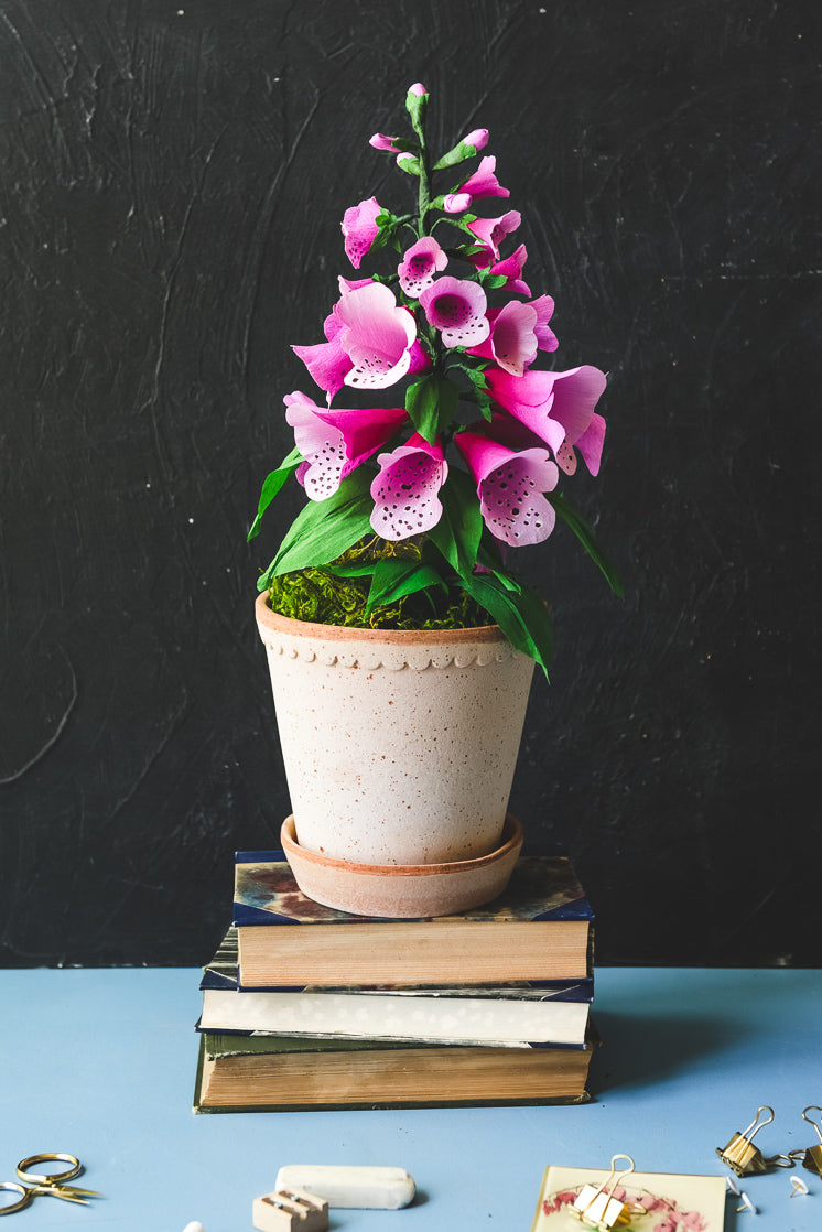 Paper Foxglove, PDF Template