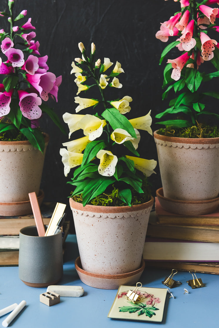 Paper Foxglove, PDF Template