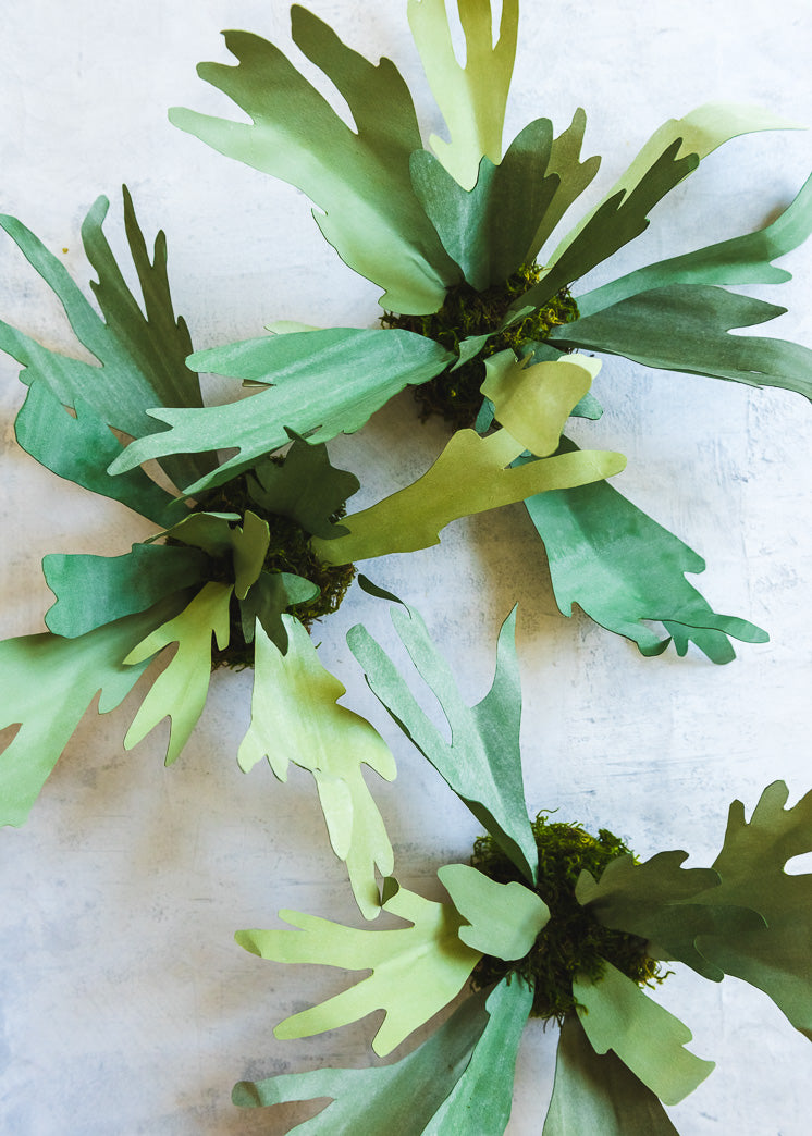 Paper Staghorn Fern, PDF Template
