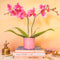DIY Pink Paper Orchids 