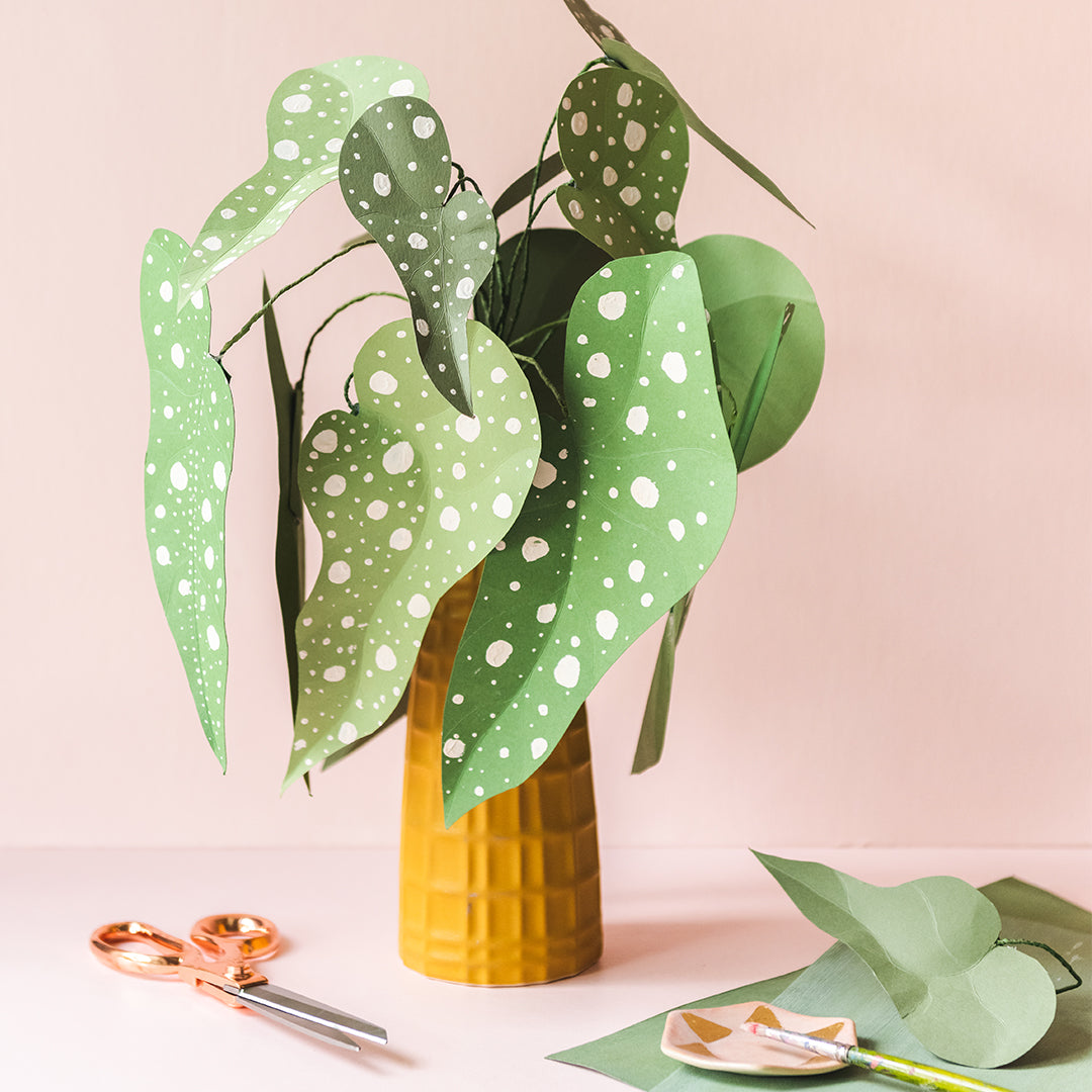 Polka Dot Plant (Begonia Maculata), PDF Template