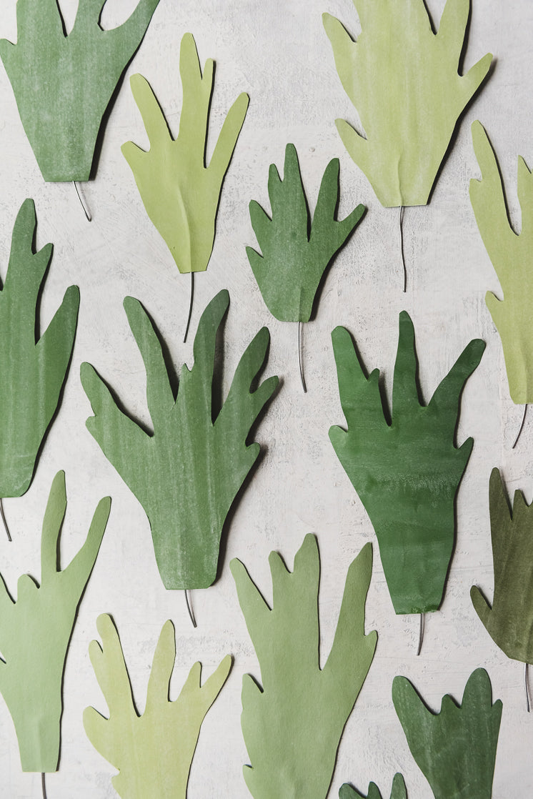 Paper Staghorn Fern, PDF Template