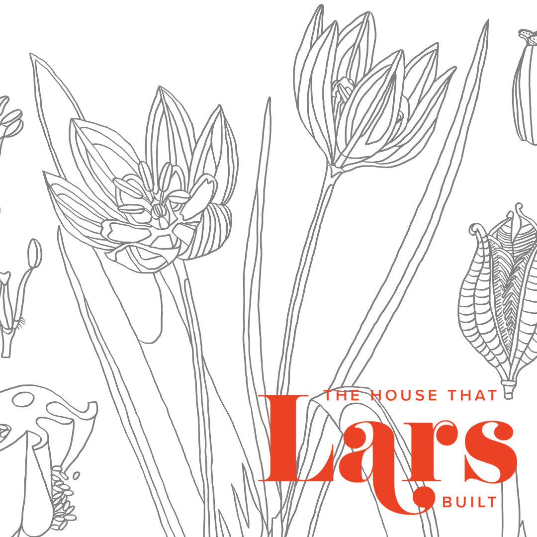 Tulip Chart Coloring Page, PDF Printable