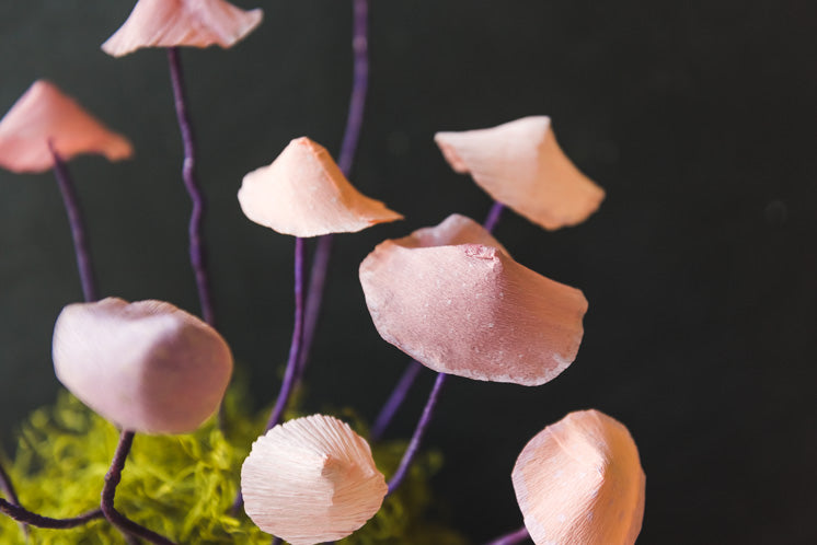 Bleeding Mycena Mushroom, Free PDF Template