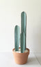 DIY cardboard cactus, PDF template, simple DIY no glue, cardboard cacti, paper cactus