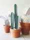 DIY cardboard cactus, PDF template, simple DIY no glue, cardboard cacti, paper cactus