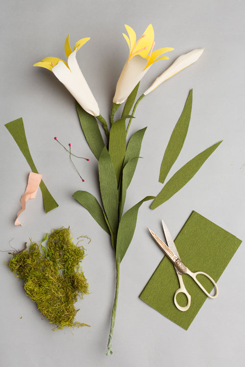 Potted Paper Easter Lily, PDF Template