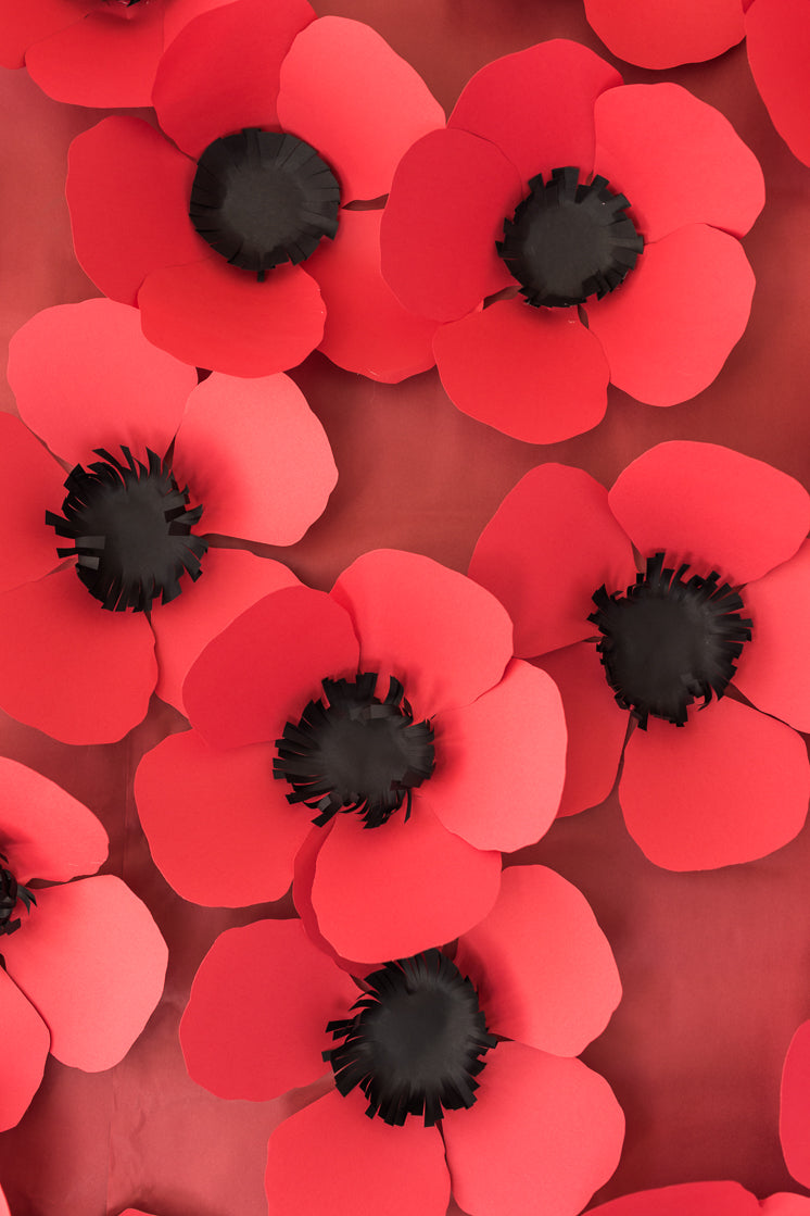 Paper Poppy Backdrop, PDF Templates