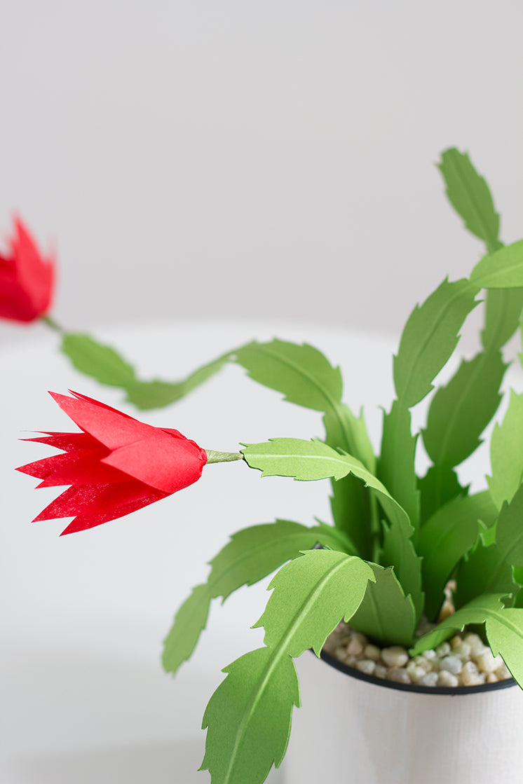 DIY Paper Christmas Cactus, PDF Template