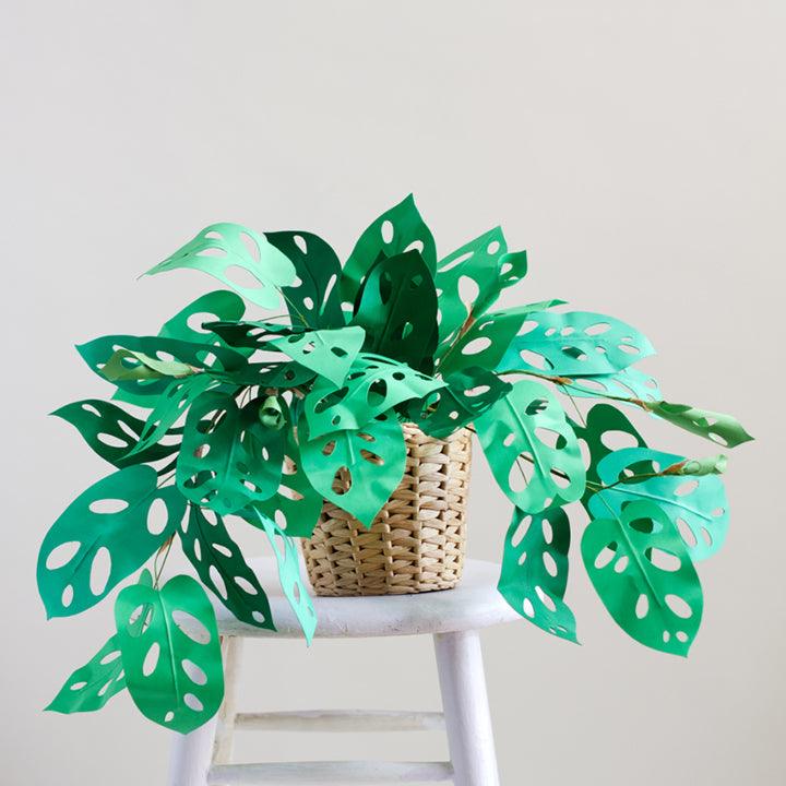 monstera plant template Swiss Cheese Plant, PDF Template
